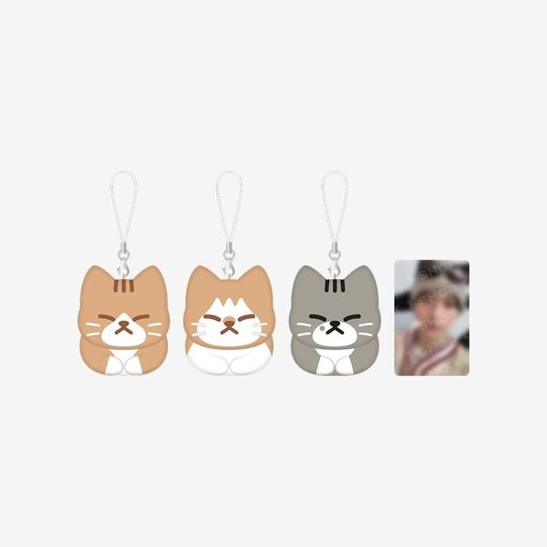 STRAY KIDS - dominATE : celebrATE - SOON-DOONG-DORI KEYRING SET by Lee Know