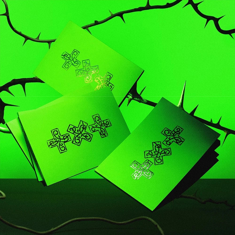 [PRE-VENTA] TXT - 7TH YEAR : 가시덤불에 잠시 바람이 멈췄을 때 (WHEN THE WIND PAUSED AMONG THE THORNS) THORN Ver.