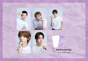 CORTIS x TORRIDEN 2026 Photocard Set
